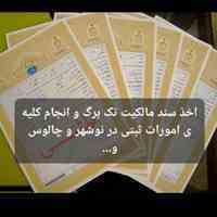 اخذ سند تکبرگ توسط کارشناس خبره (ثبت)