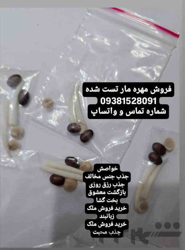 مهره مار