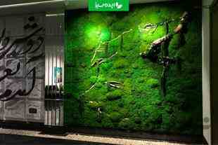 اجرای دیوار خزه ای یا ماس وال 