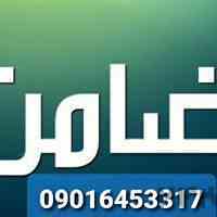 کفیل برای ضمانت/کفیل برای دادسرا/کفیل برای دادگاه/ضامن دادگاه/ضامن دادسرا ۰۹۱۹۹۲۸۵۶۹۴