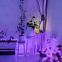 ماساژ در منزل شما و اتاق ماساژ رایا