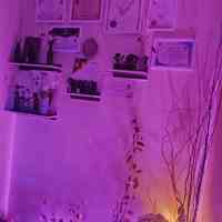 ماساژ در منزل شما و اتاق ماساژ رایا