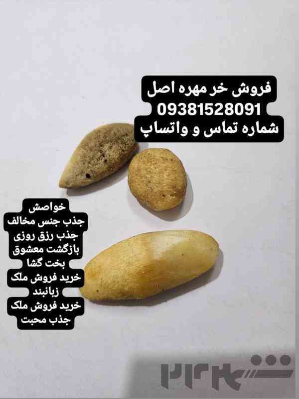 خر مهره