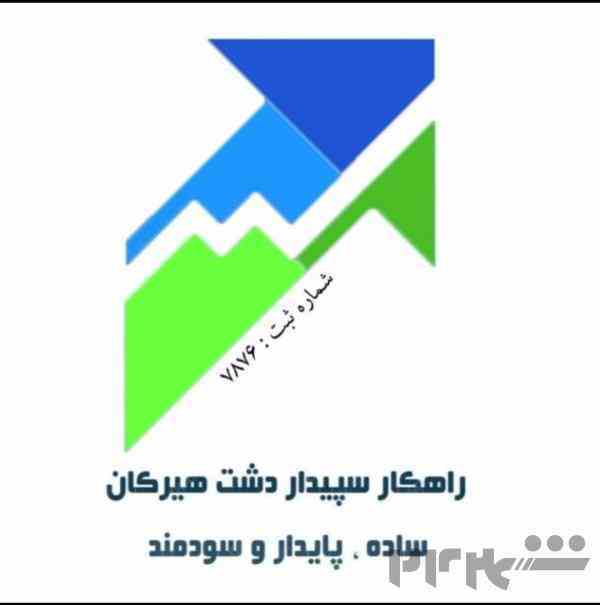 سپیدار در گلستان و گرگان