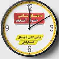 دکترشاسی علی تک دست (بیهق سابق)