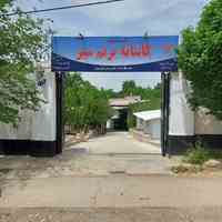 مرکز ترک اعتیاد کاشانه ترنم سبز(کرشت)