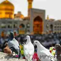 تور زیارتی و تفریحی مشهد مقدس