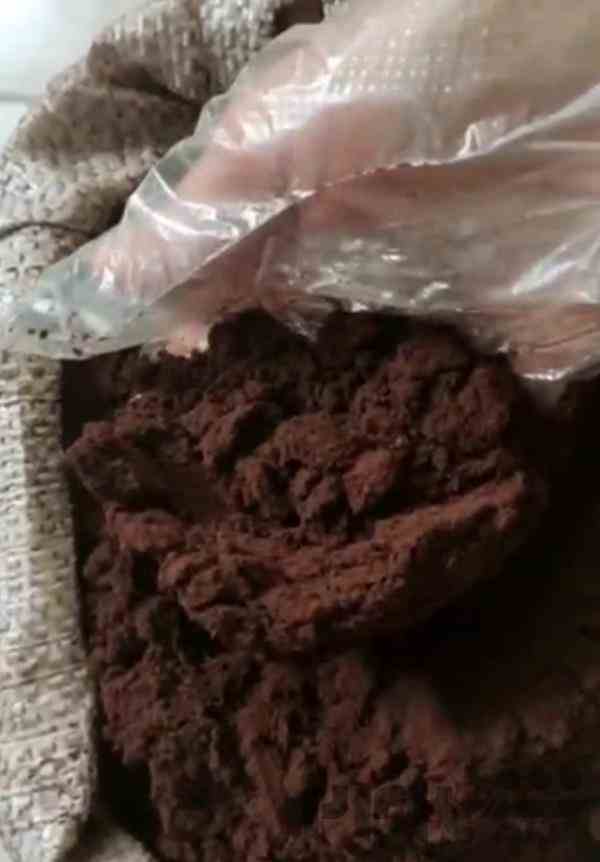 خرید و قیمت قهوه هسته خرما