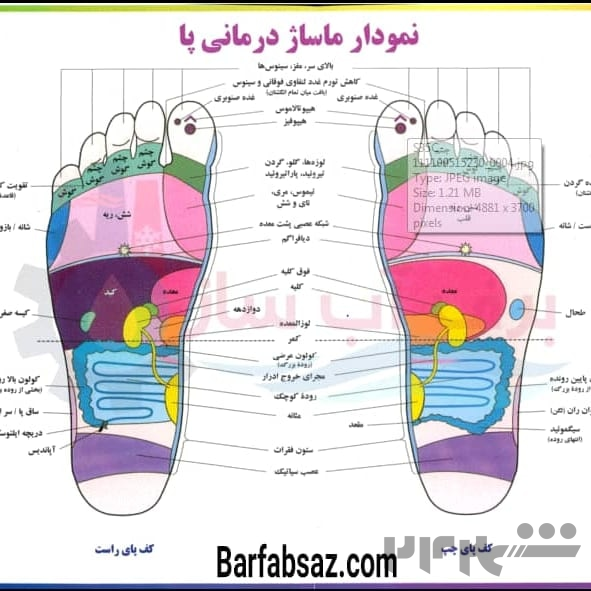 خدمات ماساژ فول بادی