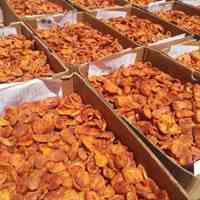 دستگاه خشک کن میوه و سبزیجات 