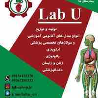 . انواع فانتوم ومدل های آناتومی مناسب  آزمایشگاه  مدارس و دانشگاه و مراکز مهارت های بالینی بیمارستان ها