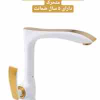 شیرروشوئی