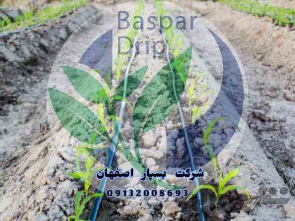 فروش ویژه نوار تیپ 
