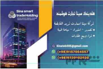 🏢 هلدینگ سینا تجارت هوشمند | ارائه دهنده خدمات جامع بین‌المللی 🌍