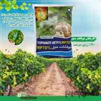 سم تیوفانات متیل ۷۰%