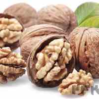 طعم اصالت و کیفیت، از دل ایران تا قلب جهان!