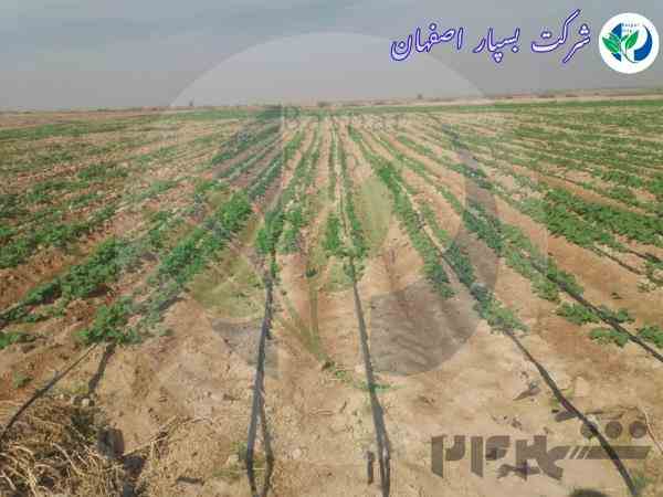 فروش ویژه نوار تیپ 