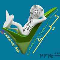 مبل شویی تخصصی تیک