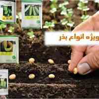 فروش ویژه انواع بذر 