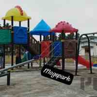 فروش انواع محصولات پارکی پلی اتیلنی پارکی 