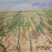 فروش ویژه نوار تیپ 