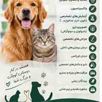 کلینیک دامپزشکی هفال