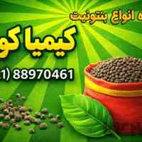 فروشنده انواع بنتونیت
