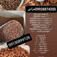 ب  چند ویزیتور قهوه در مشهد و اطراف مشهد نیازمندیم  خانم یا اقا با فن بیان بالا