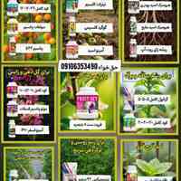 کود تخصصی وانوما