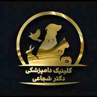 دامپزشک در خوانسار | پانسیون حیوانات خانگی در خوانسار
