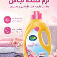 شوینده بهداشتی 