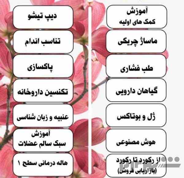 دوره های افلاین 