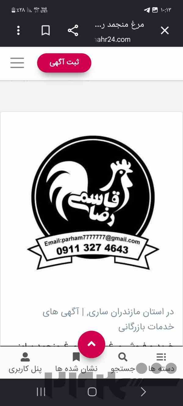 مرغ منجمد رضاقاسمی 