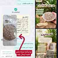 آجیل وخشکبارتنقلات سالم