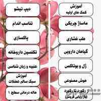 دوره های افلاین 