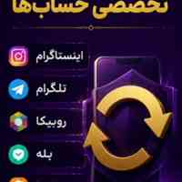 بازگردانی پیج(امینت پیج)