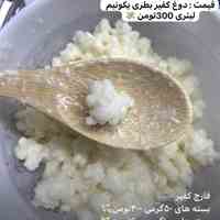 فروش قارج کفیر