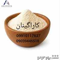 فروش و تأمین انواع کاراگینان خوراکی و صنعتی | بازرگانی آرانوا