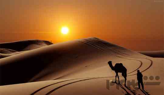 تور کویر ابوزیدآباد پاییزه 1405 پا به پا سفر