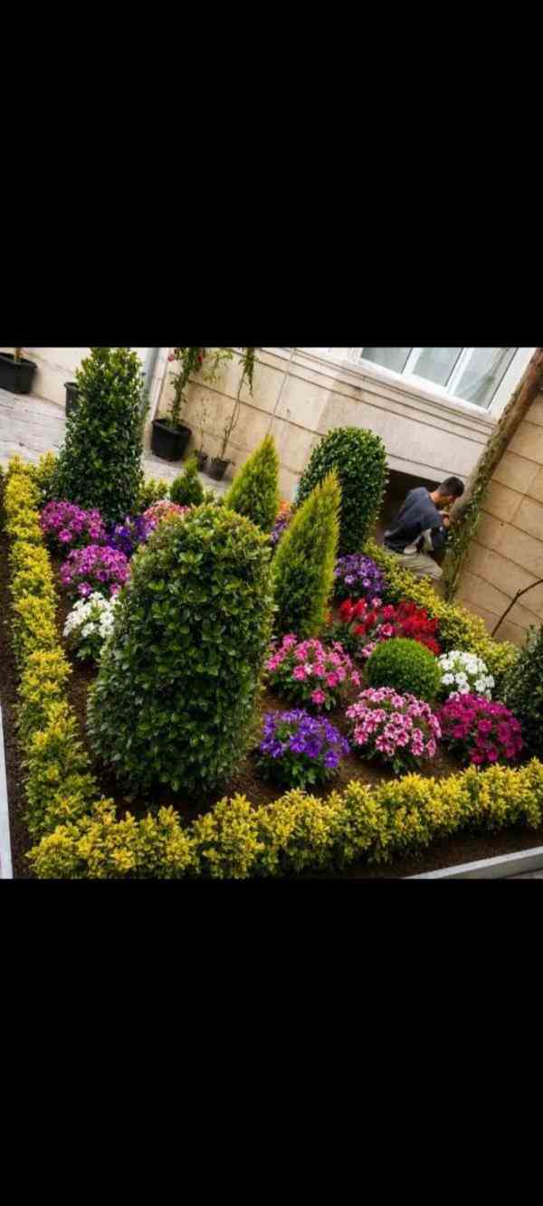 خدمات باغبانی محوطه سازی دیوار سبز