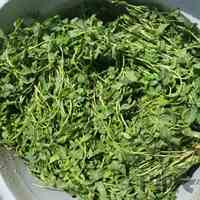 عرق نعنای خانگی 