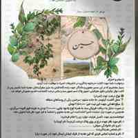 درختچه یادبود نامیرا 