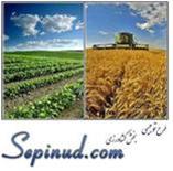  طرح توجیهی در بخش کشاورزی  www.sepinud.com