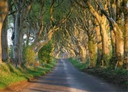  فروش زمین 2500 مترمربعی در صومعه سرای گیلان