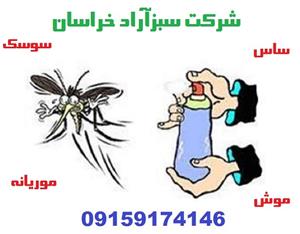  سمپاشی ساس ، سمپاشی سوسک ، سمپاشی موریانه