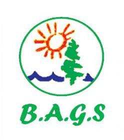  فروشگاه آبشن خودرو کرمان بگز B.A.G.S
