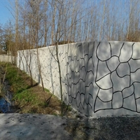 زمین در لاهیجان جاده رودبنه نرسیده به دهکاه روستائ ششگل